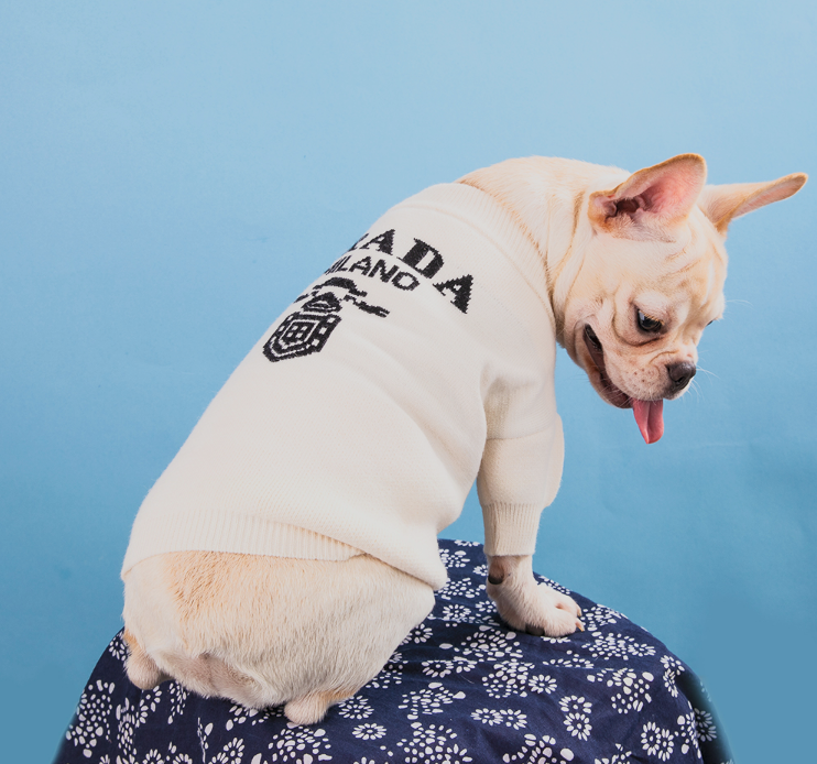 Prad 'Ah Tribe - Gray (X-Large)