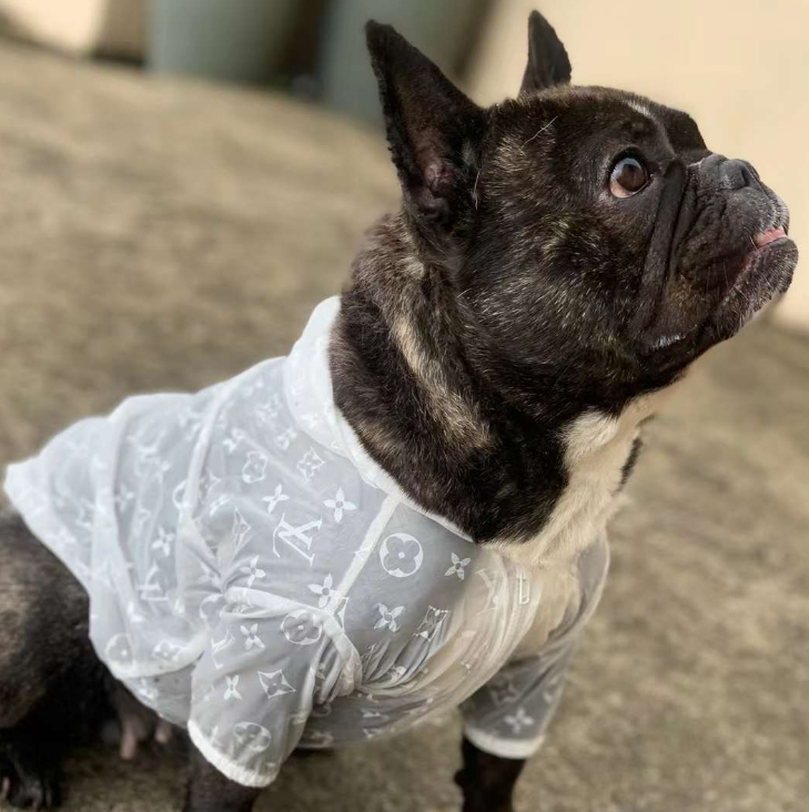 See Thru Me Windbreaker Jacket - Small