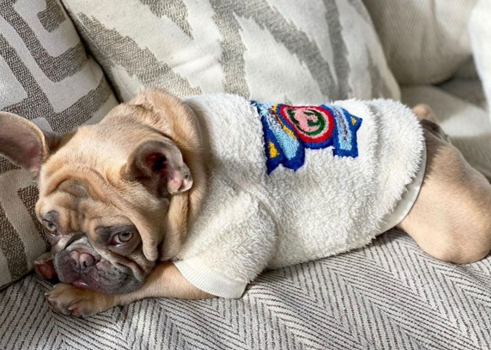 Certified G Fuzzy Sweater - X-Large