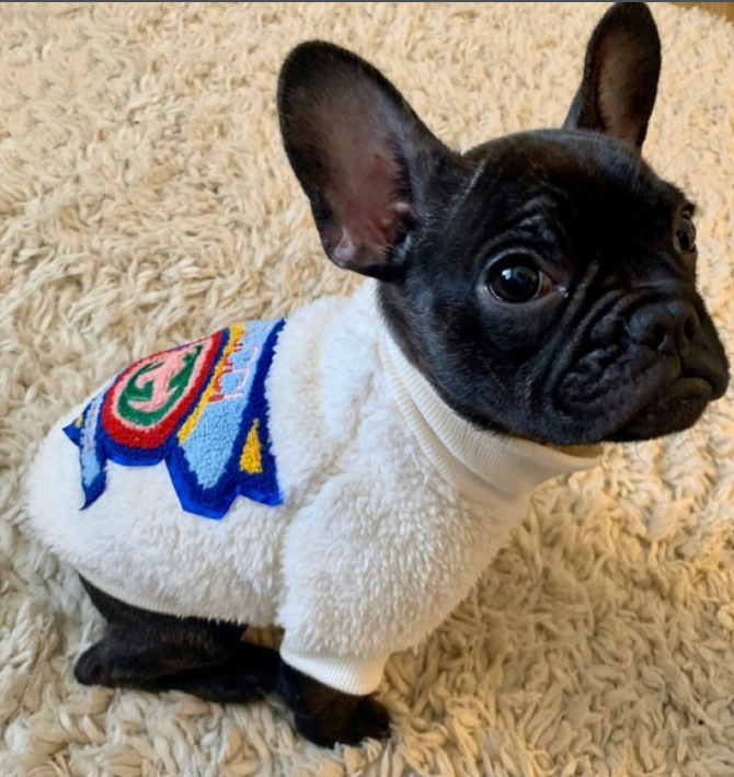 Certified G Fuzzy Sweater - X-Large