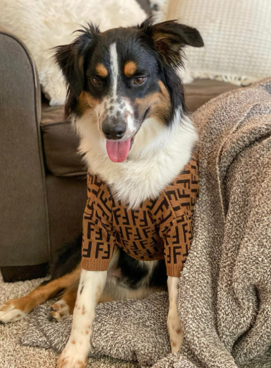 Feeling Fendastic Sweater - X-Large