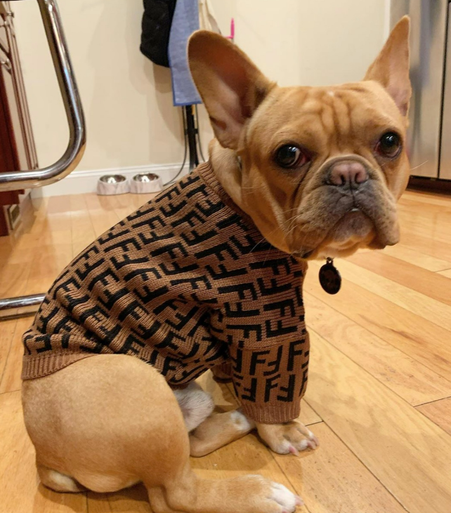 Feeling Fendastic Sweater - X-Large