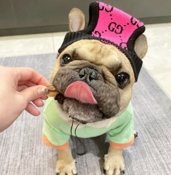 Top-Notch Beanie