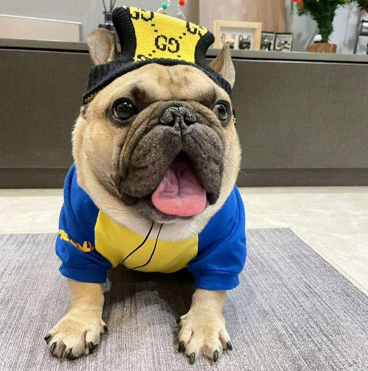 Top-Notch Beanie