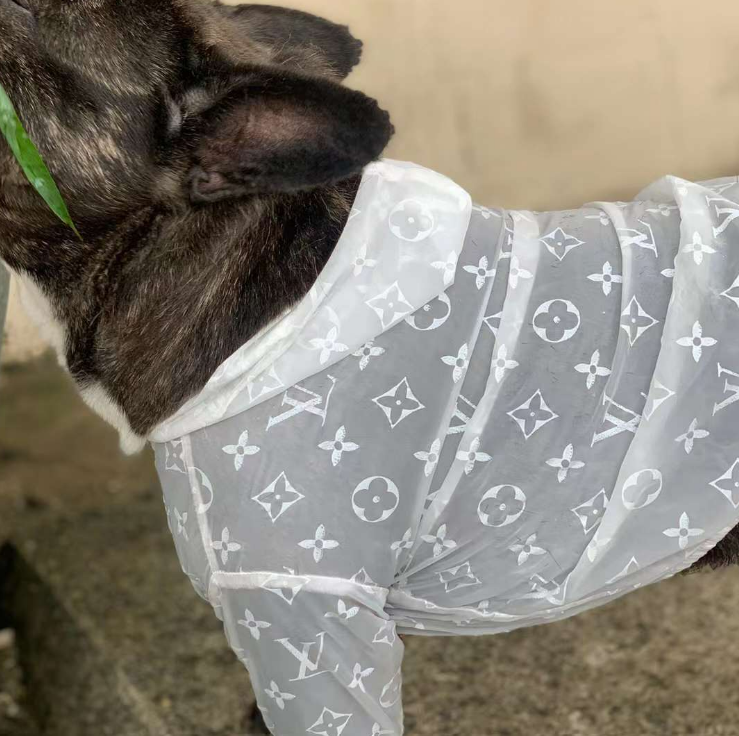 See Thru Me Windbreaker Jacket - Small
