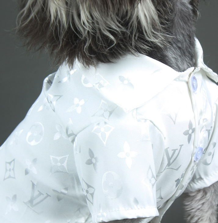 All White Party Pooch - Medium