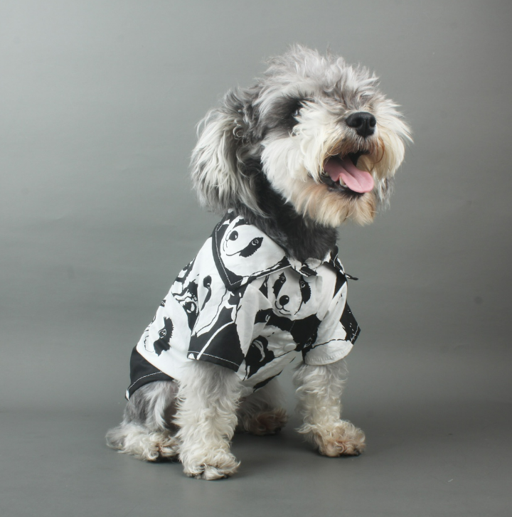 Panda Express Button Down - Medium