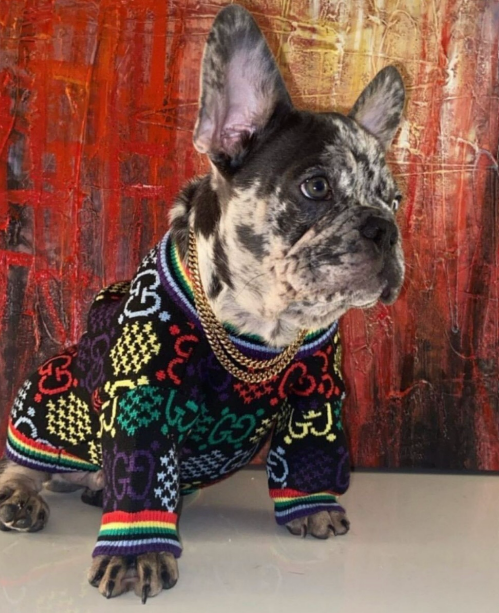 Multi Color Block Sweater - Black